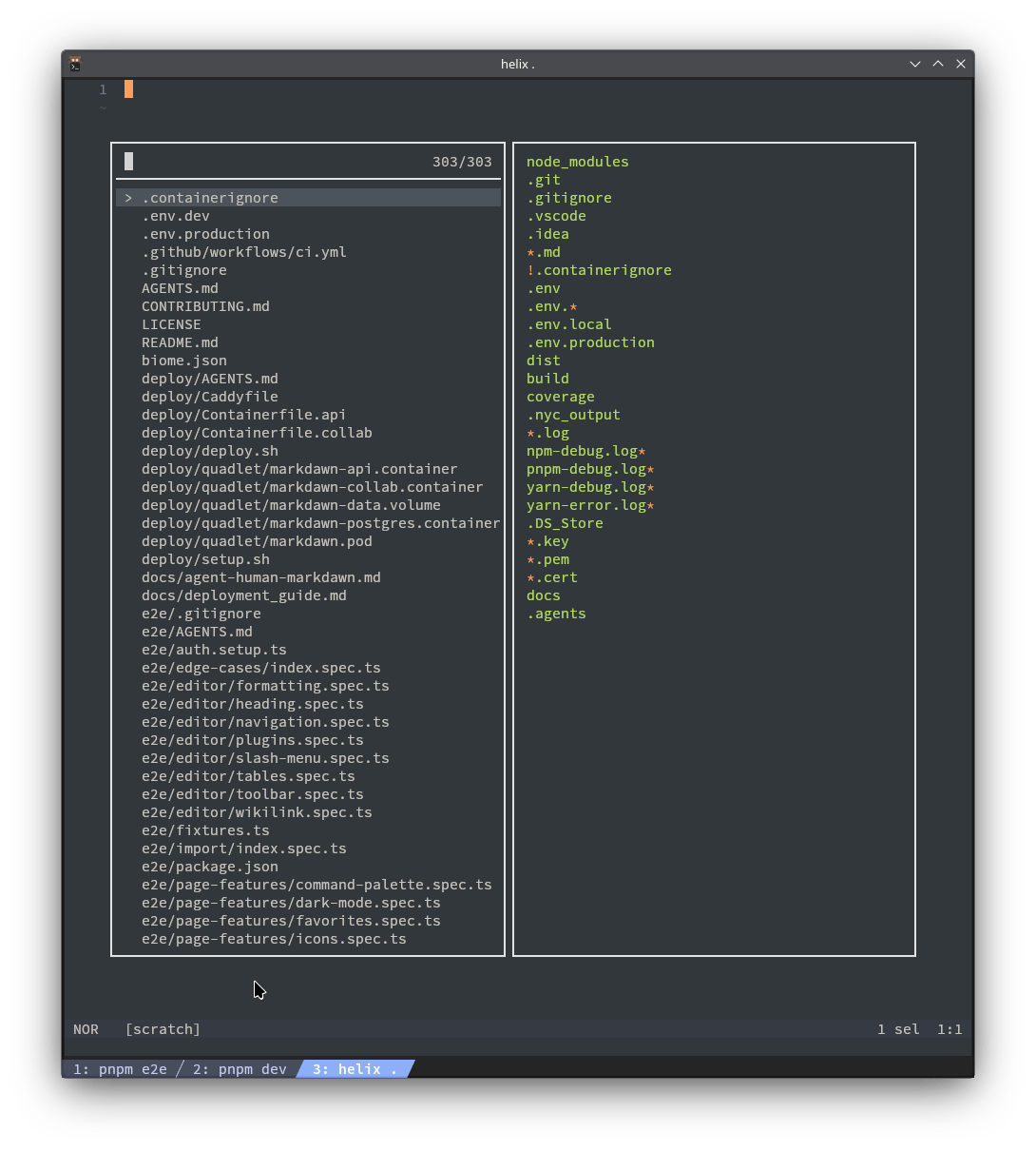 Helix editor open in a terminal
