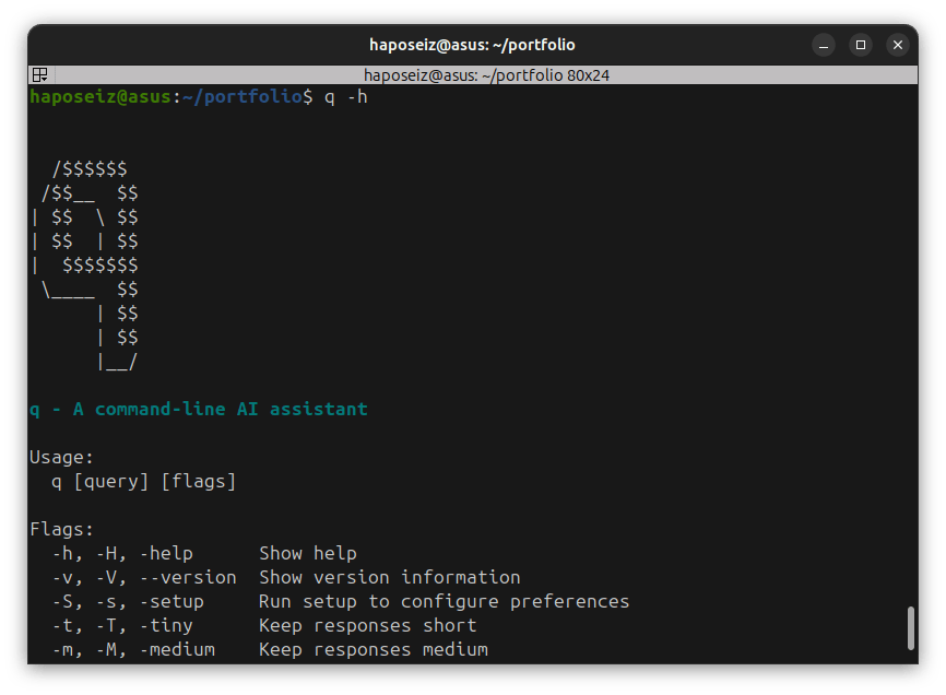 A screenshot of q help section.